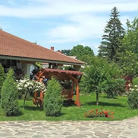 Kakukk Panzio Nyírbátor